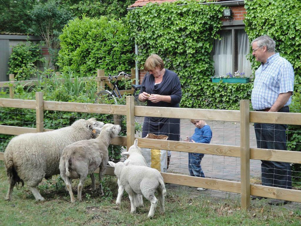 B&B De Passerel Bree Dış mekan fotoğraf